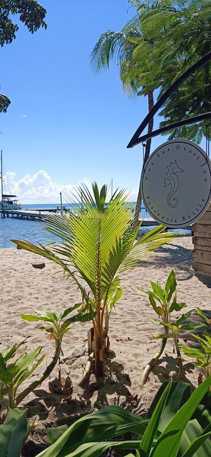 The Sea Glass Inn Placencia Exterior photo