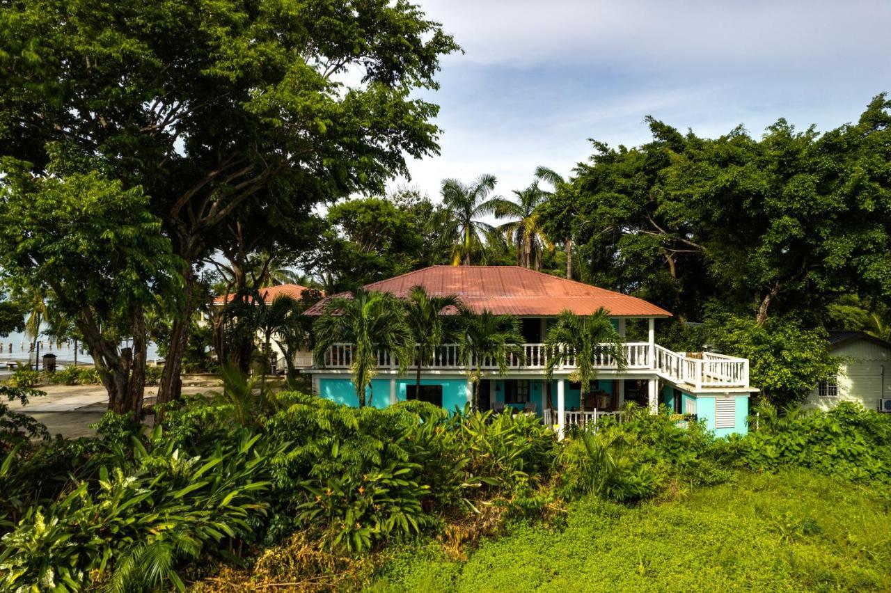 The Sea Glass Inn Placencia Exterior photo