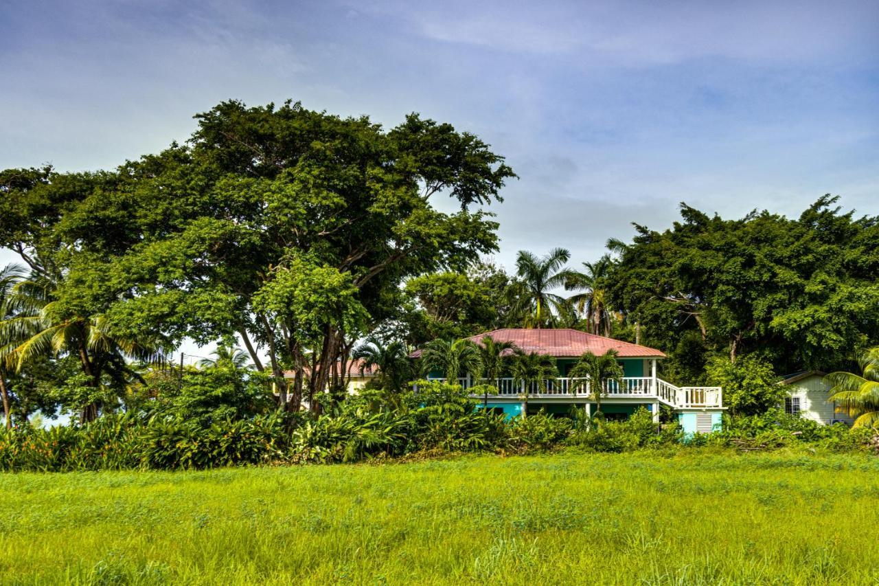 The Sea Glass Inn Placencia Exterior photo