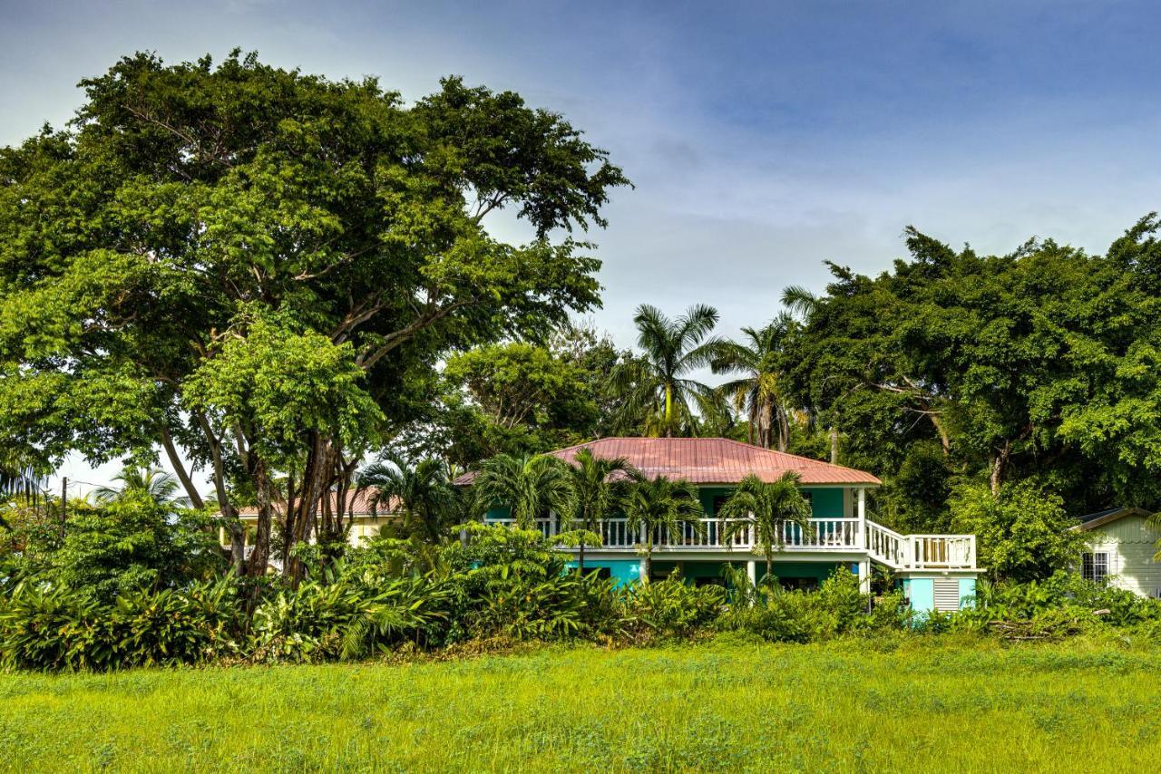 The Sea Glass Inn Placencia Exterior photo